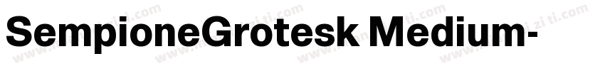 SempioneGrotesk Medium字体转换